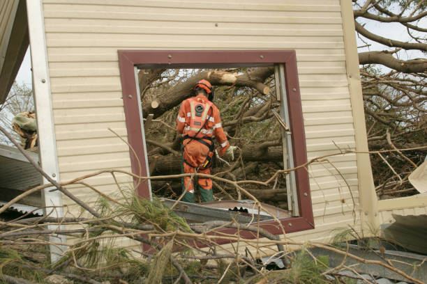 Best Tree Removal  in Iraan, TX